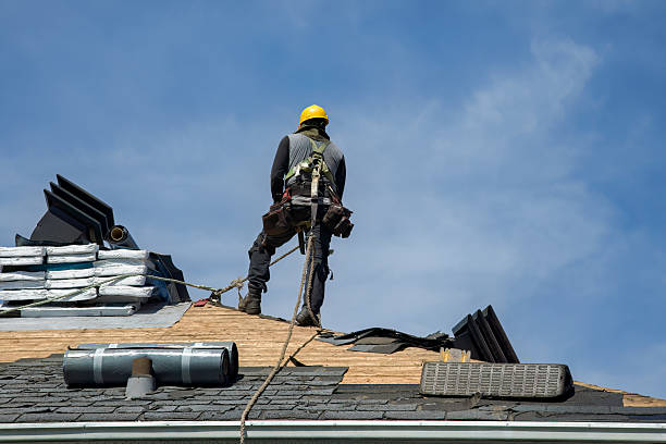 Professional Roof Replacement technician working in South Rockwood, MI